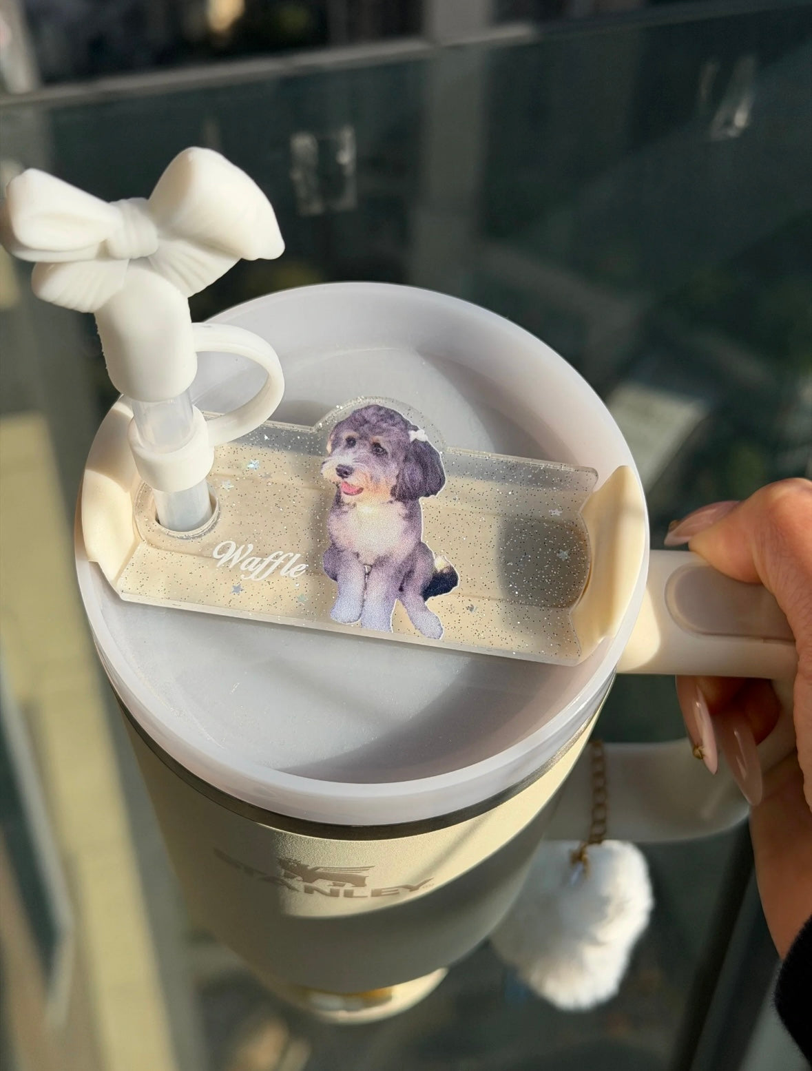 Bowee H2.0 Custom Pet Stanley Name Plate