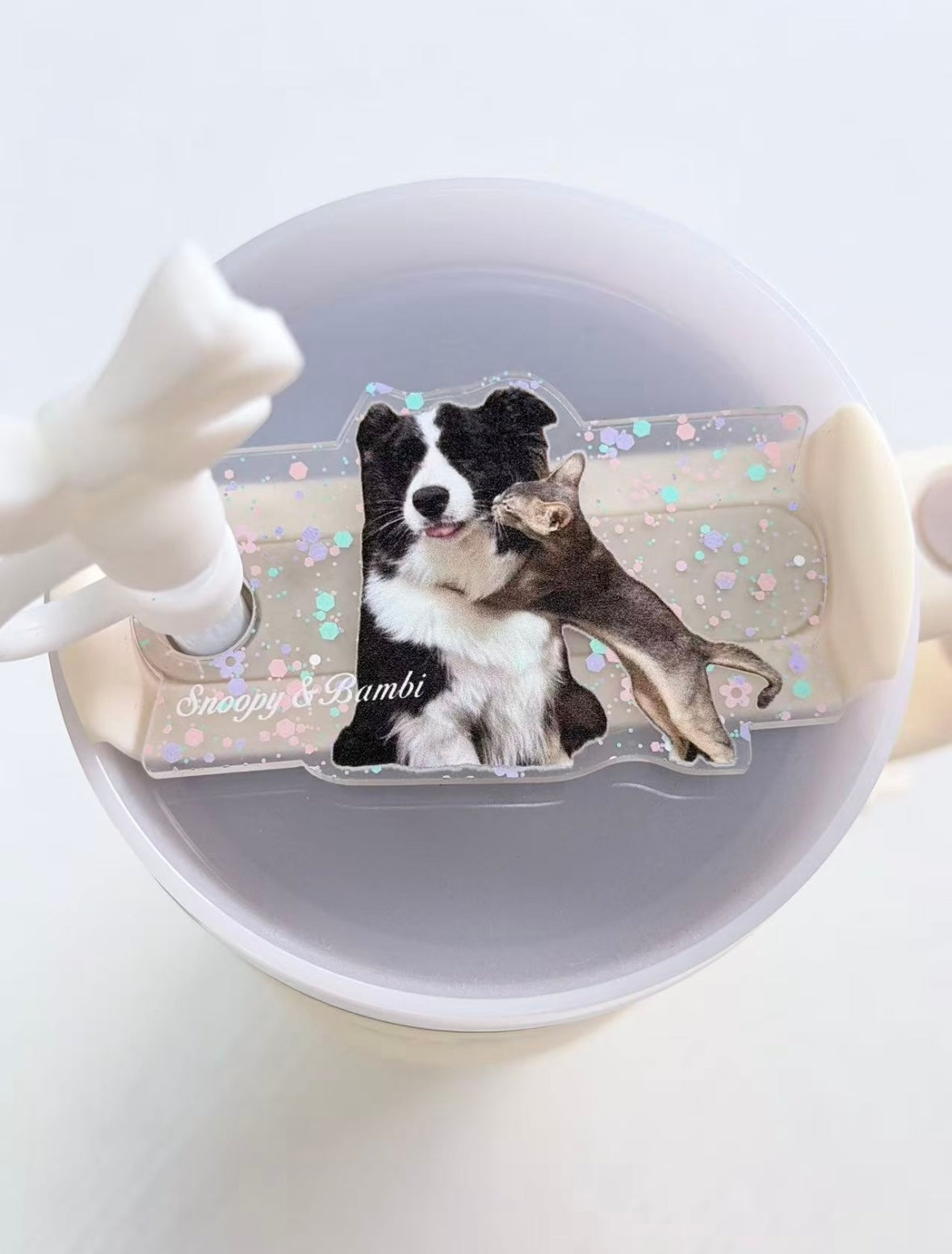 Bowee H2.0 Custom Pet Stanley Name Plate
