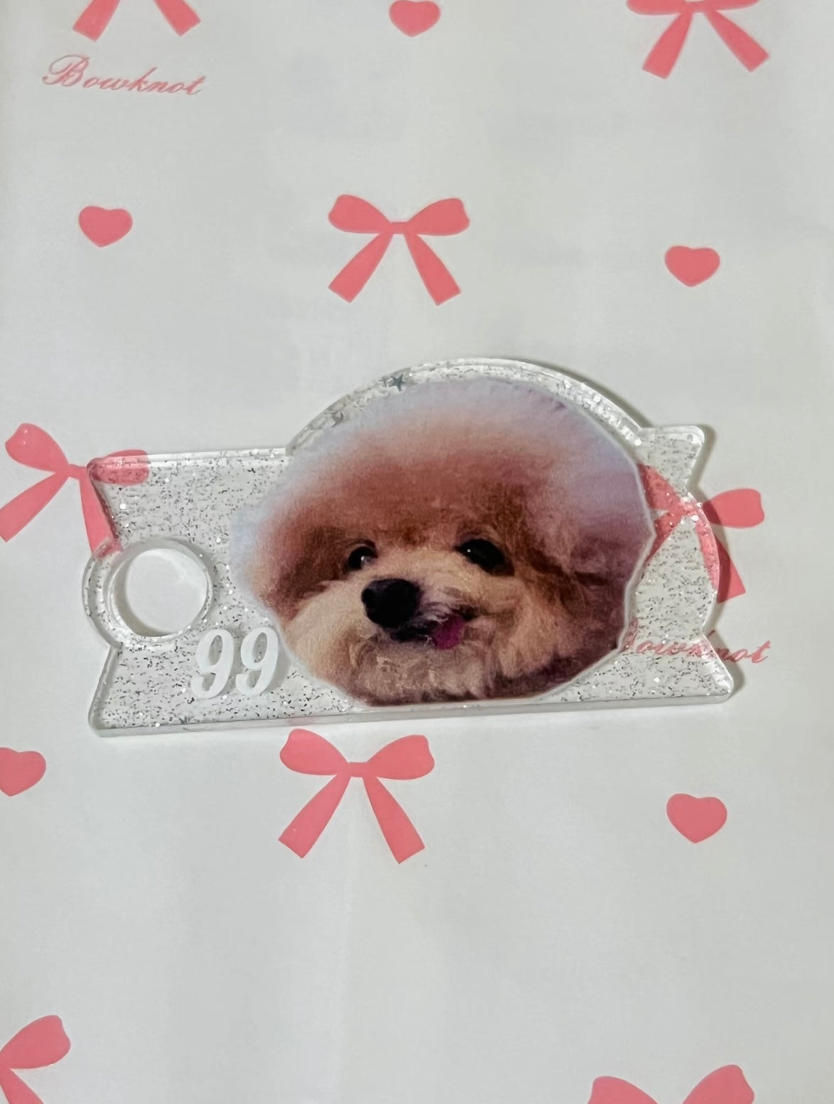 Bowee H2.0 Custom Pet Stanley Name Plate