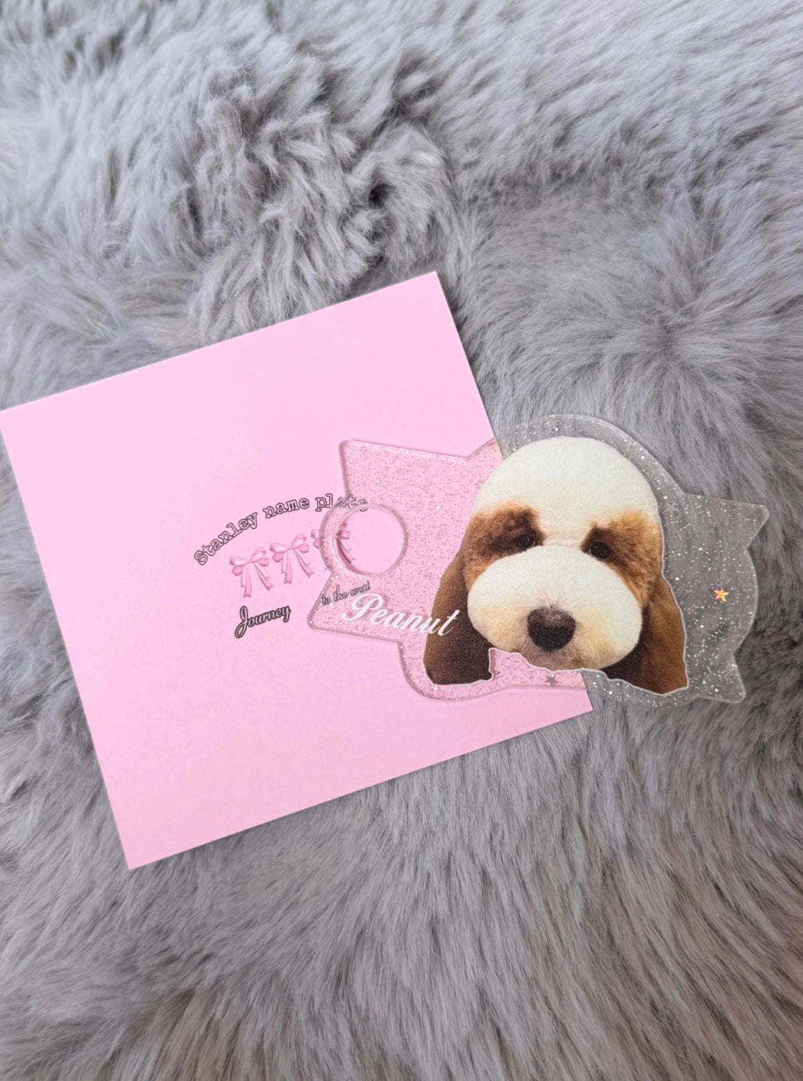 Bowee H2.0 Custom Pet Stanley Name Plate